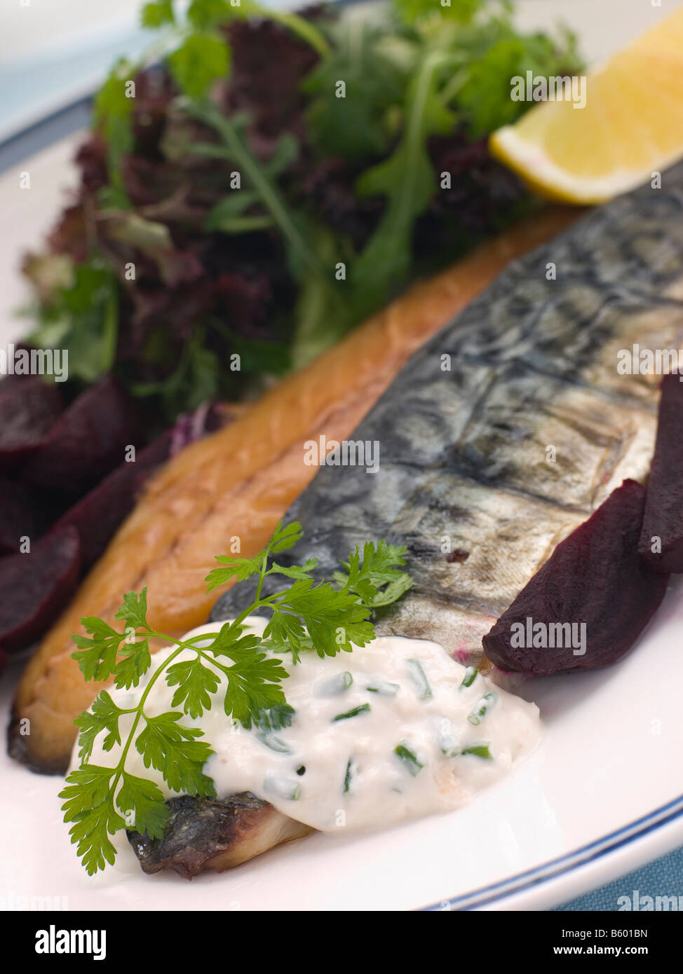 Sgombri affumicati insalata di barbabietola con crema di rafano Foto Stock