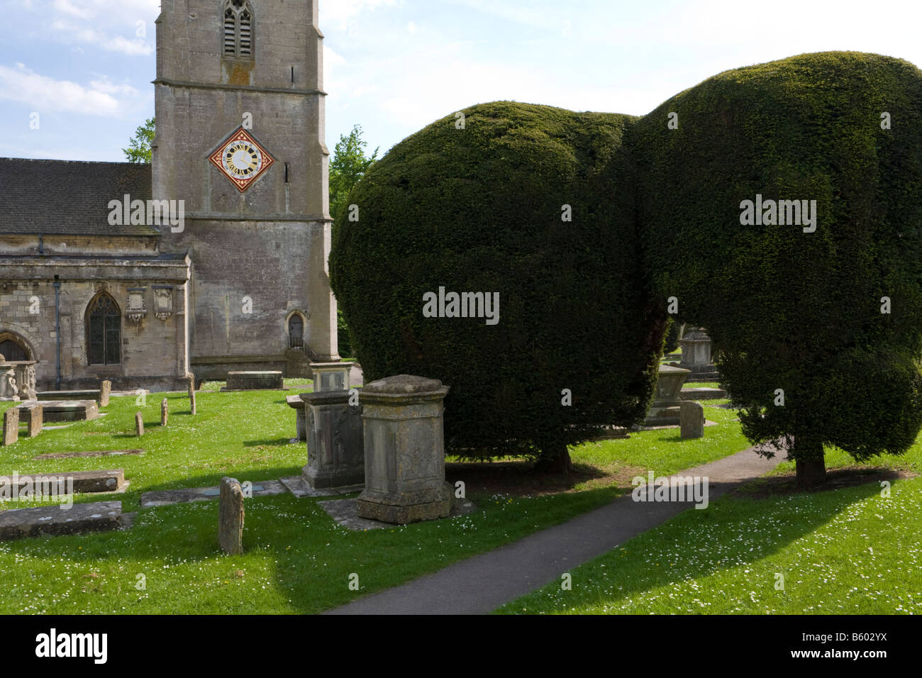 Due delle novantanove yew alberi nel sagrato della chiesa di St Marys chiesa nel villaggio Costwold di Painswick, Gloucestershire Foto Stock