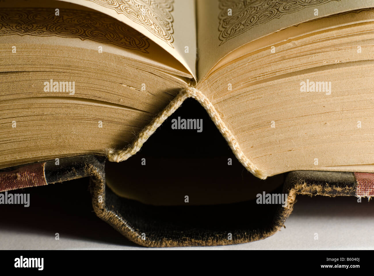 Grande e vecchio libro Foto Stock