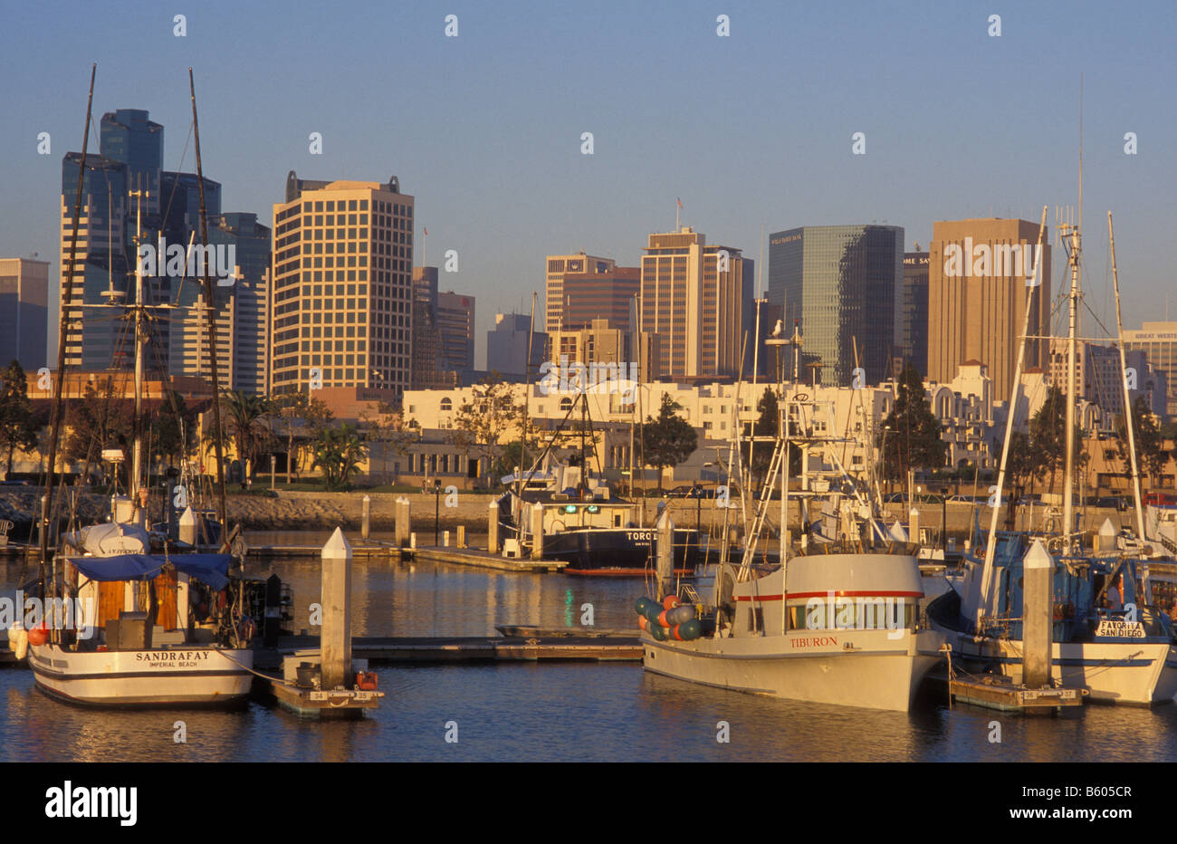 Barche da pesca, porto di pescatori, Skyline, San Diego, California, America, STATI UNITI D'AMERICA Foto Stock