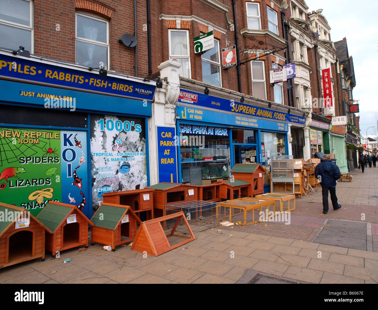 Il canile, hutches, gabbie e viene eseguito al di fuori del proprio gli animali pet shop Lewisham High Street London Inghilterra England Foto Stock