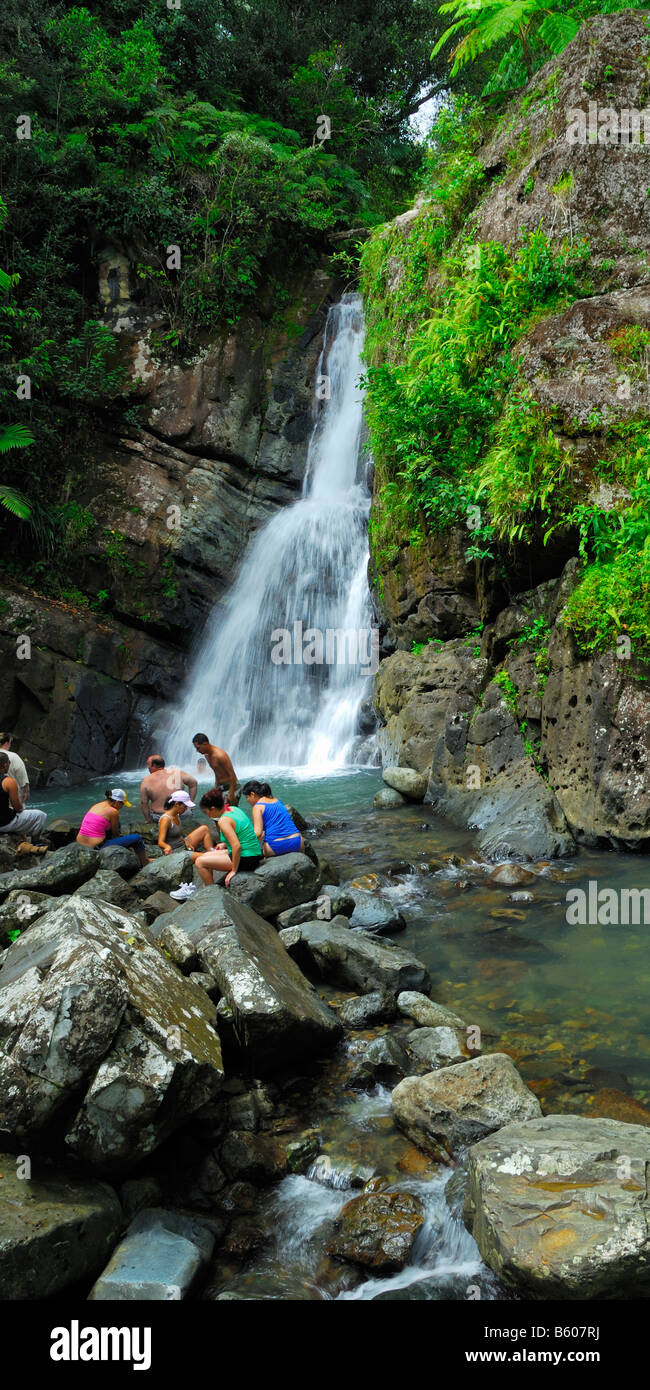 La Mina cade nella Foresta Nazionale Caraibica El Yunque vicino Palmer Puerto Rico Foto Stock