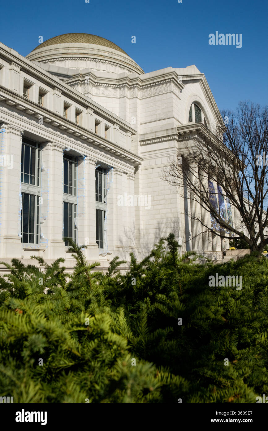 Lo Smithsonian, il Museo di Storia Naturale di Washington D.C. Foto Stock