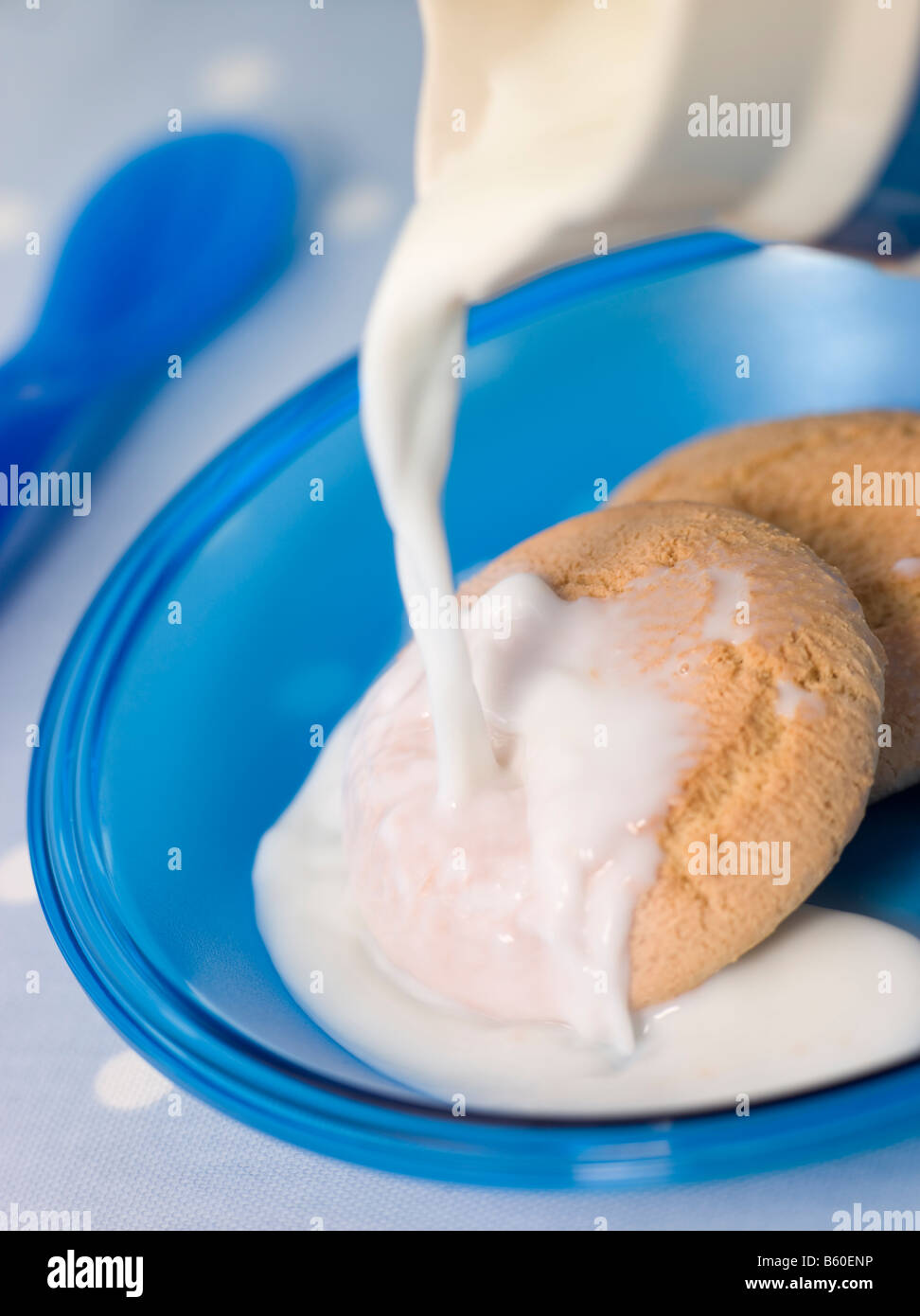 Due fette biscottate al malto in una ciotola con il latte Foto Stock