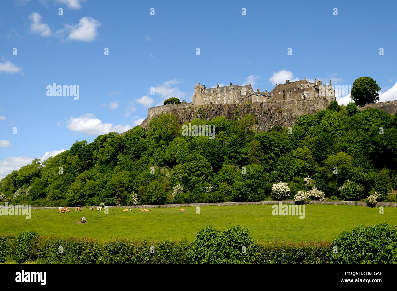 Il Castello di Stirling, Stirling, Scozia, Gran Bretagna, Europa Foto Stock