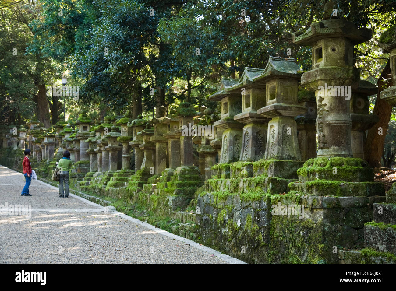 Lanterne di pietra presso il Santuario Kasuga di Nara Foto Stock