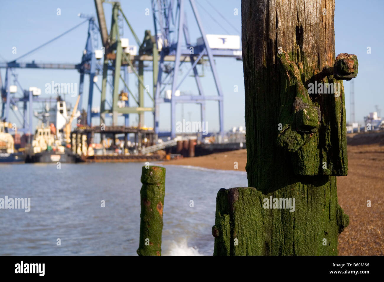 Monconi di vecchie banchine formano un contrasto stridente con la nuova gru nel porto di Felixstowe. Foto Stock