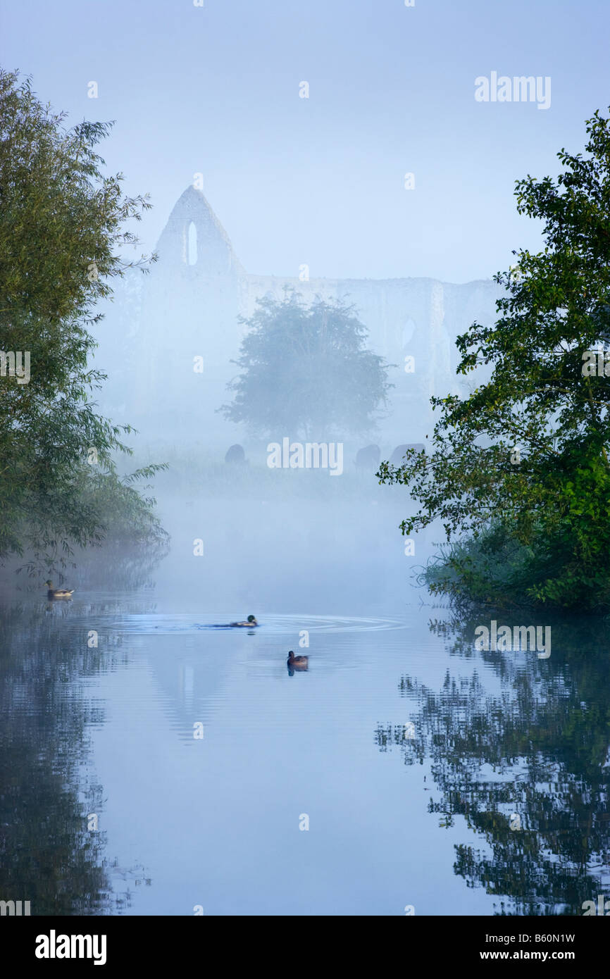 Newark prima e il fiume Wey, Pyrford, Surrey, Regno Unito. Misty dawn a inizio autunno. Foto Stock