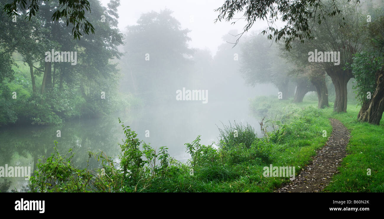 Foggy Dawn, fiume Wey dal blocco di Stoke vicino a Guildford, Surrey, Regno Unito Foto Stock