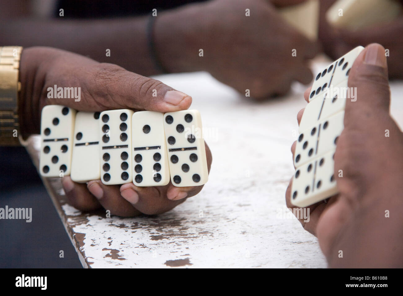 Domino, mani e domino, Massaua, il Mare Rosso, Eritrea, Corno d Africa e  Africa orientale Foto stock - Alamy