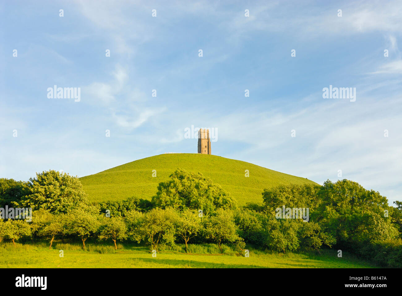 Prato intorno a Glastonbury Tor, Ley lines, la leggenda di Re Artù, National Trust, Glastonbury, Mendip, Somerset, Inghilterra Foto Stock
