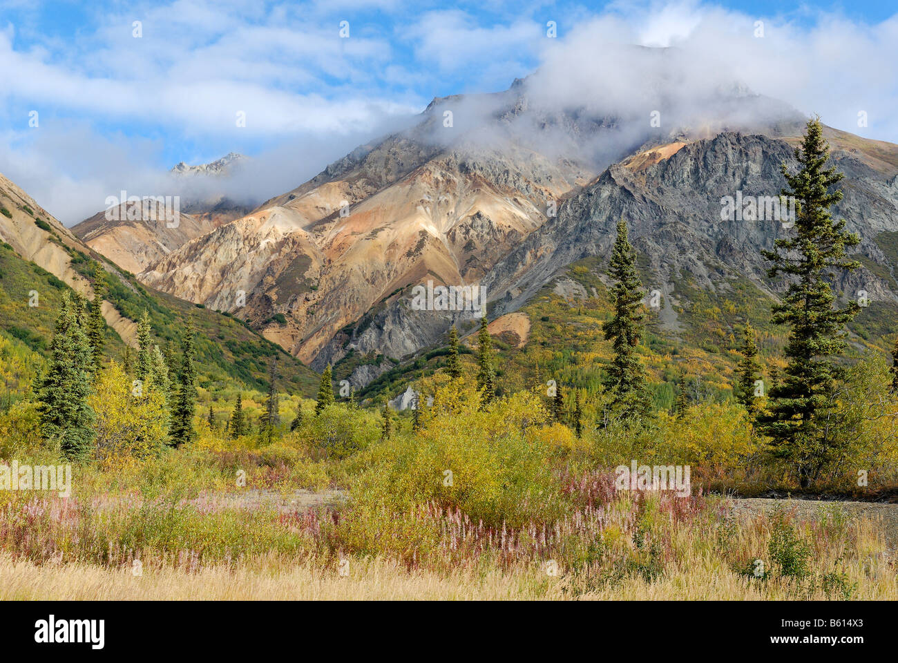 Montagne colorate, Talkeetna montagne, Glenn Highway, Alaska, STATI UNITI D'AMERICA Foto Stock