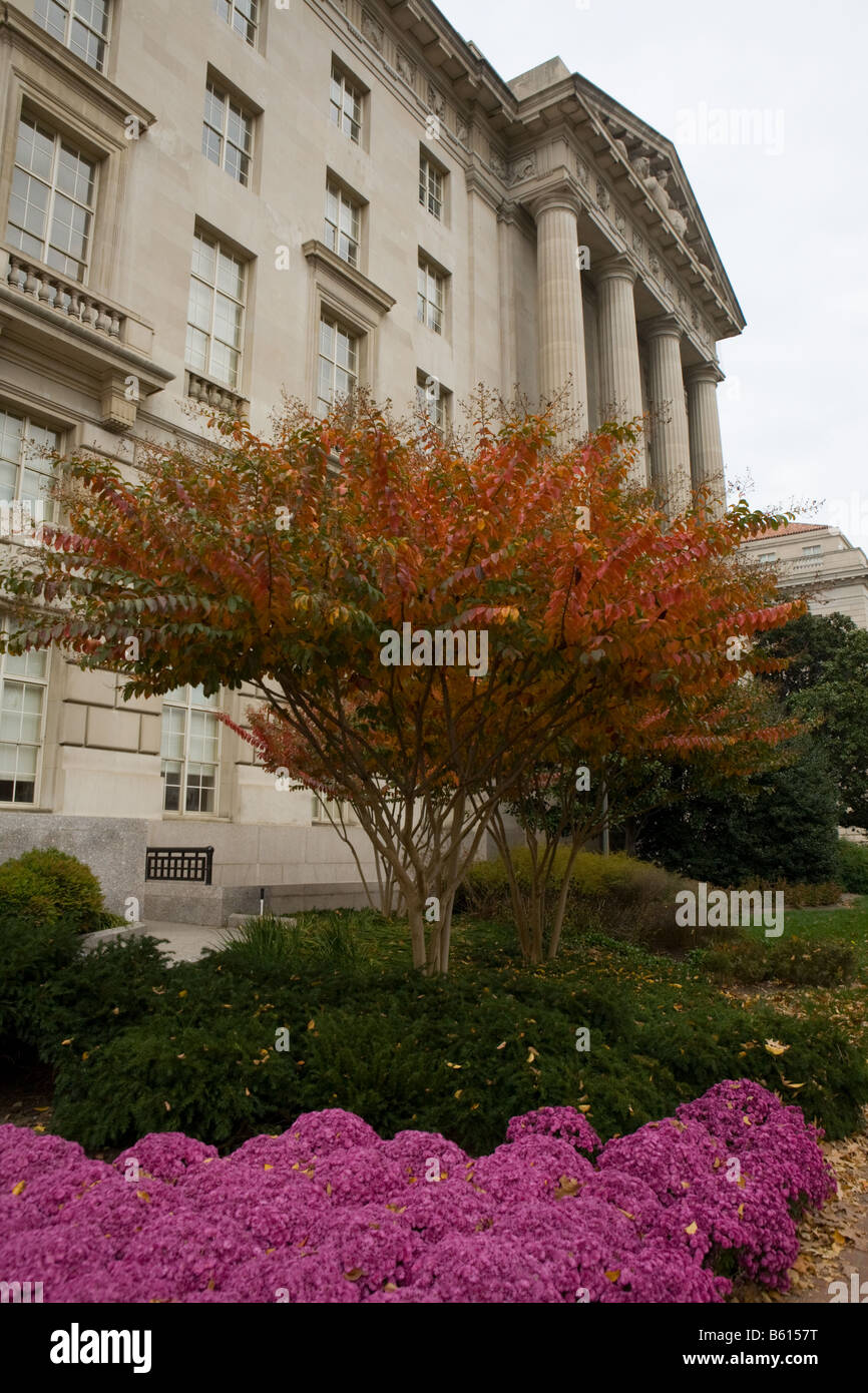 Lo Smithsonian, il Museo di Storia Naturale di Washington D.C. Foto Stock