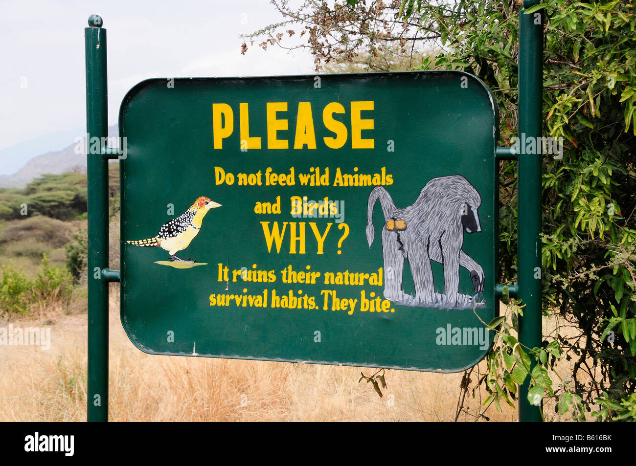 Segno 'Do non i mangimi animali selvatici", il Lago Manyara National Park, Tanzania Africa Foto Stock