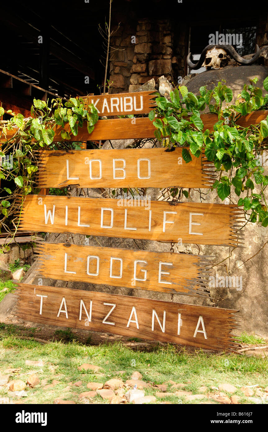 Segno di fronte al lobo Wildlife Lodge, Serengeti National Park, Tanzania Africa Foto Stock