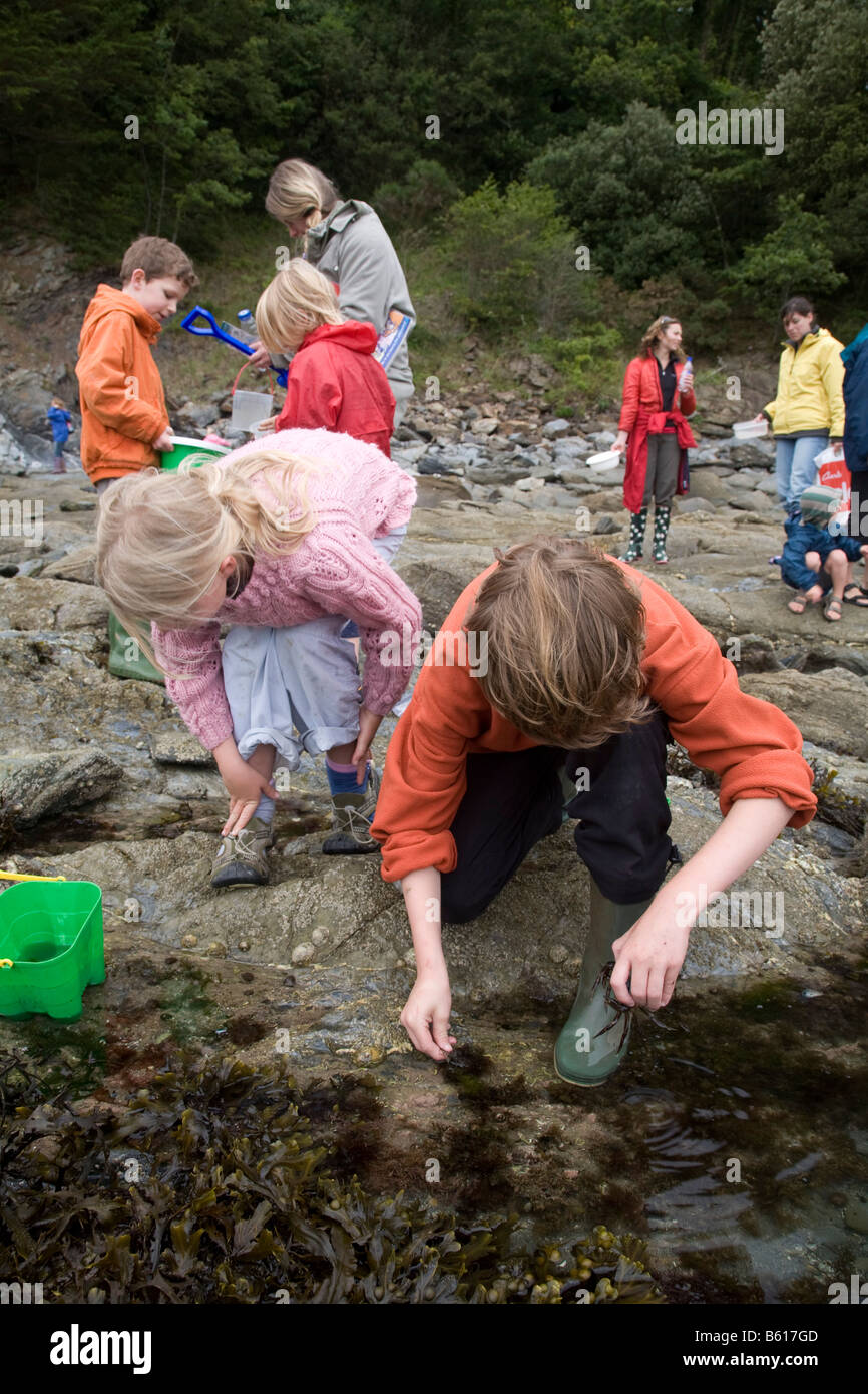 Persone il pooling di roccia a durgan helford Cornovaglia Foto Stock