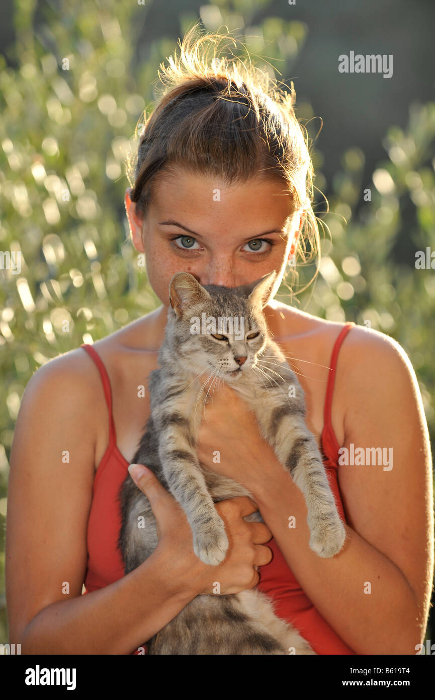 Giovani grigio tabby cat essendo trattenuto da una ragazza, smooching con la ragazza Foto Stock