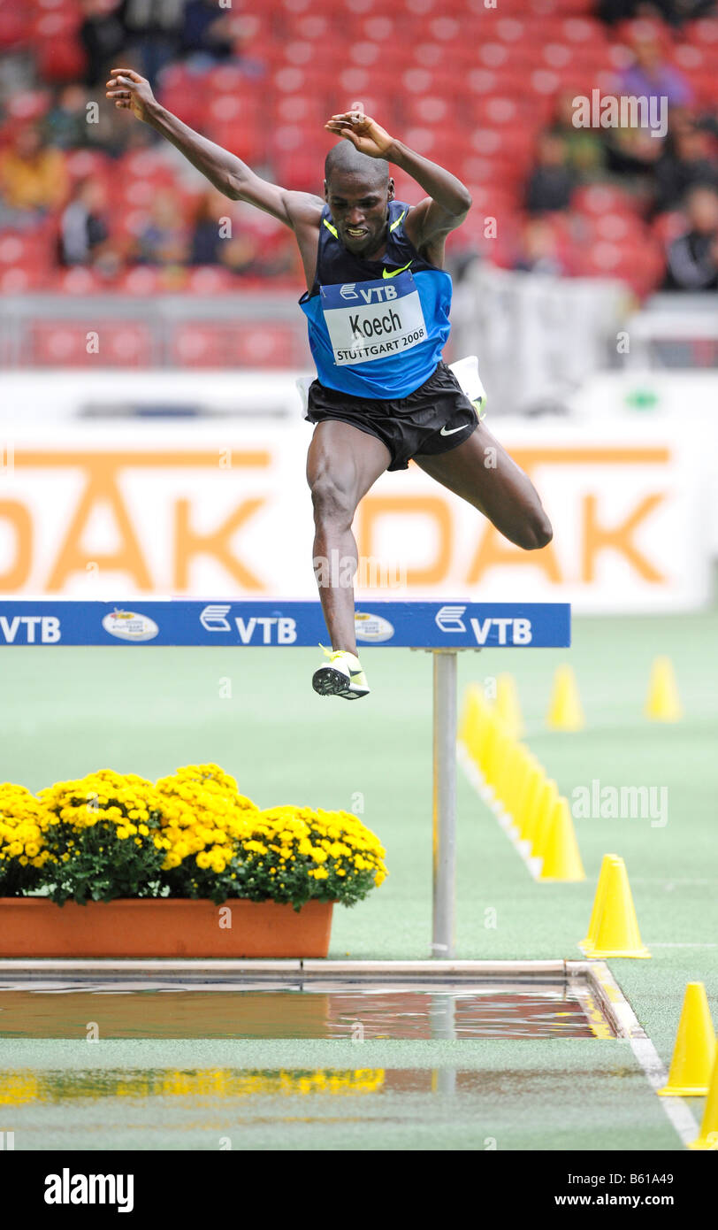 Paul Kipsiele KOECH, Ken, 3000m Siepi, in primo luogo, presso la IAAF 2008 Campionati mondiali di atletica di finale per la via e il campo nel Foto Stock