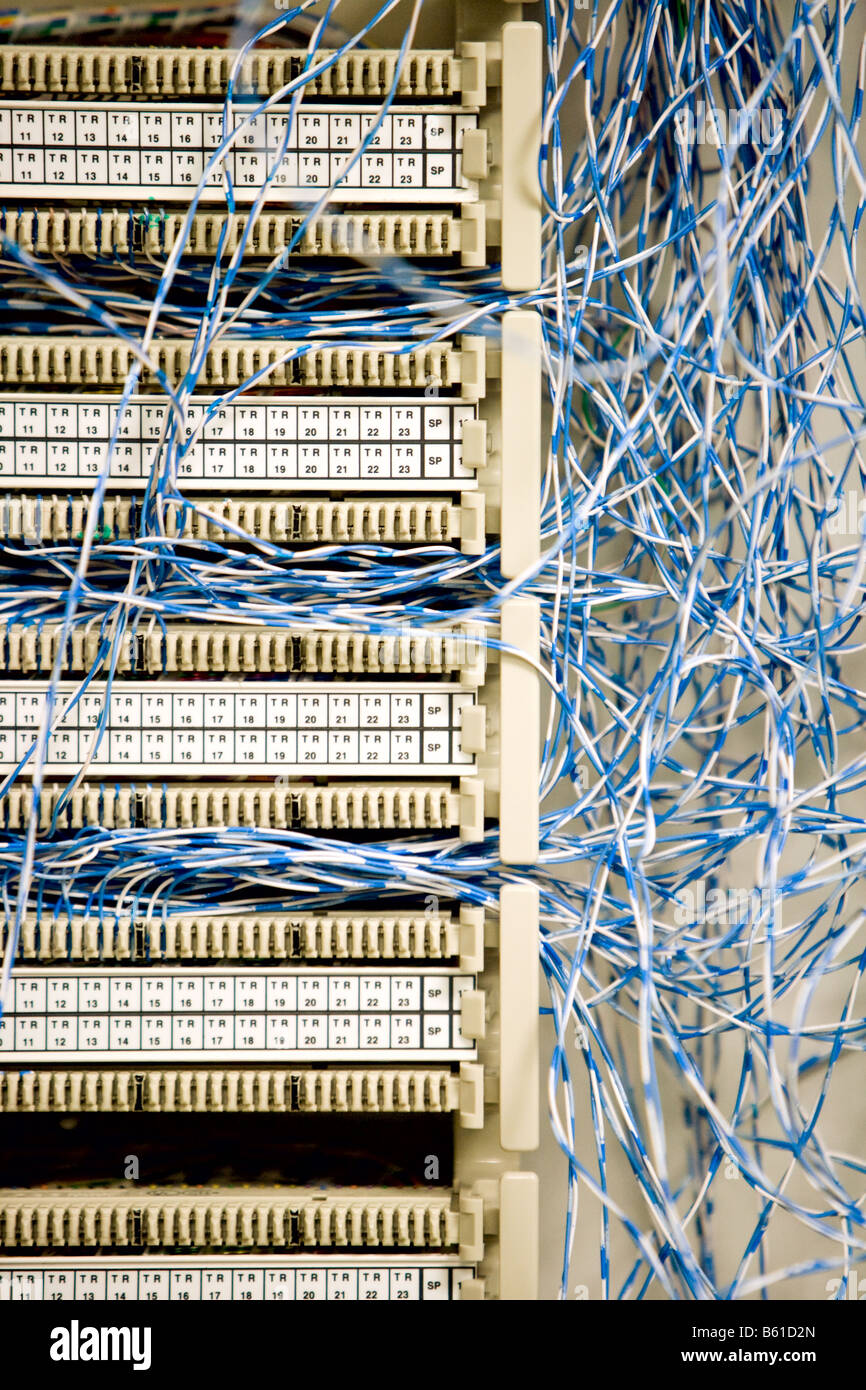 Primo piano dei vari cavi collegati a un server. Foto Stock