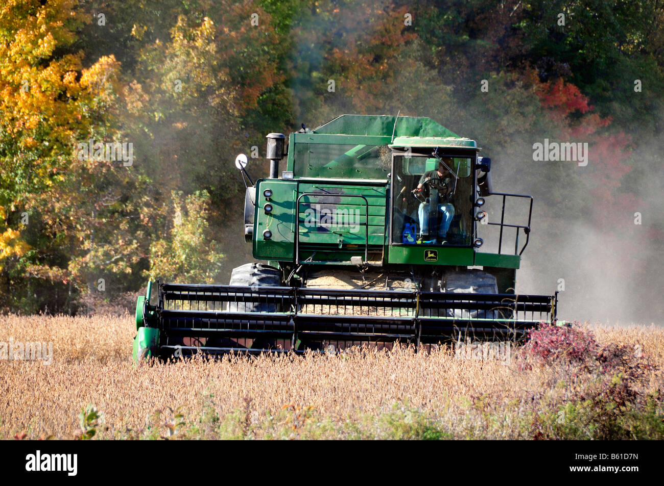 Raccolta della soia nei pressi di Ft Wayne Indiana Foto Stock