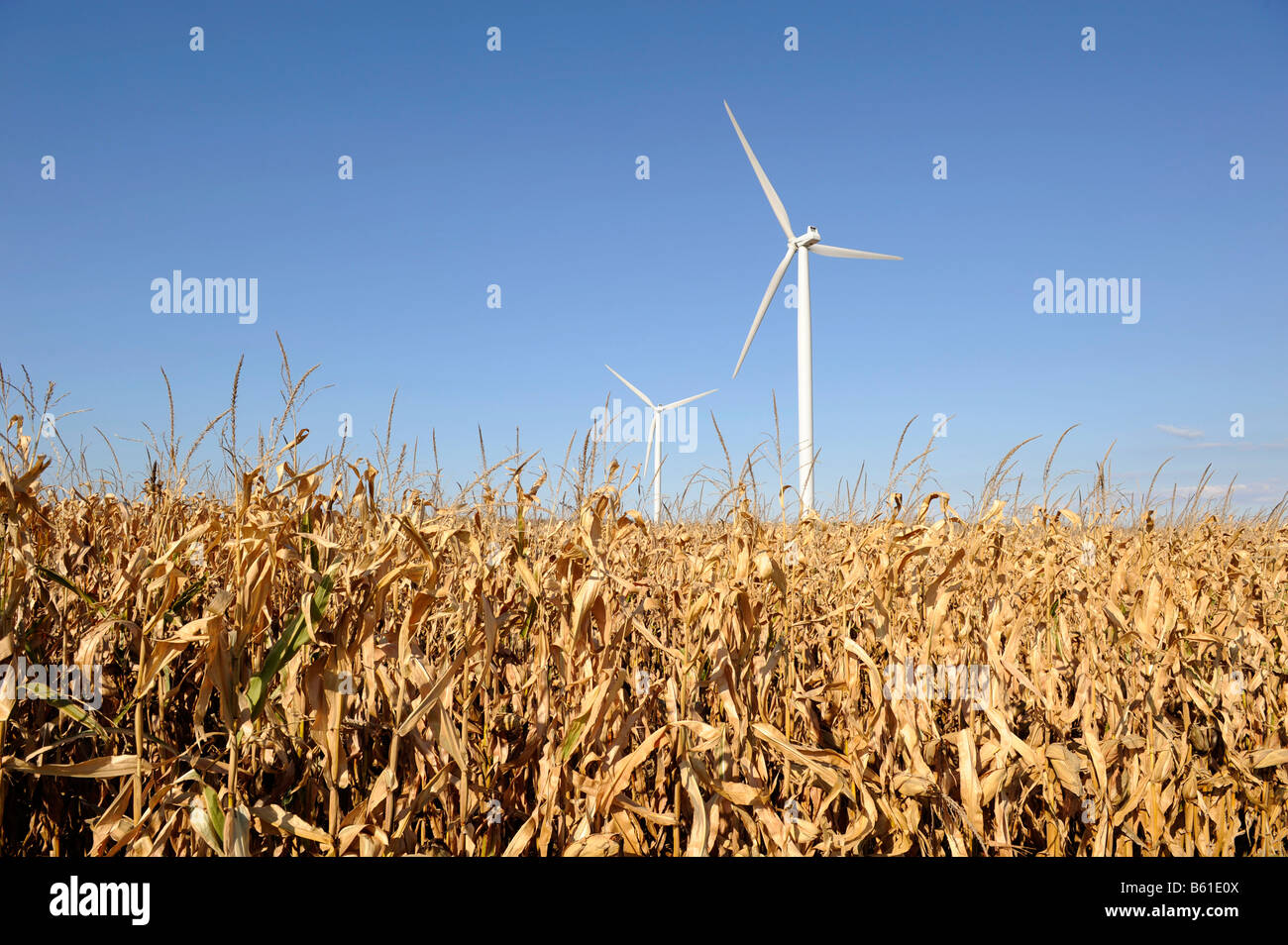 Minnesota turbina eolica il mulino a vento sul campo di fattoria di generare elettricità energia alternativa Foto Stock