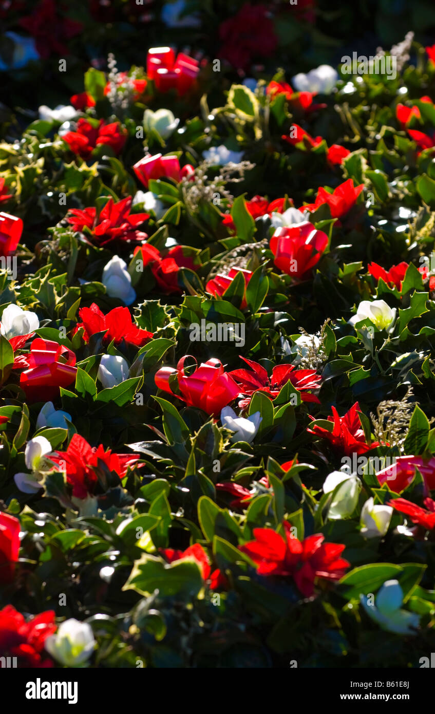 Commercio all'ingrosso annuale asta di ghirlande, agrifoglio e vischio per le decorazioni di Natale a Little Hereford, Shropshire, Inghilterra, Regno Unito Foto Stock