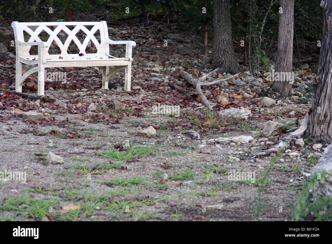 Un banco vecchio seduto tra i grandi alberi di quercia in autunno Foto Stock