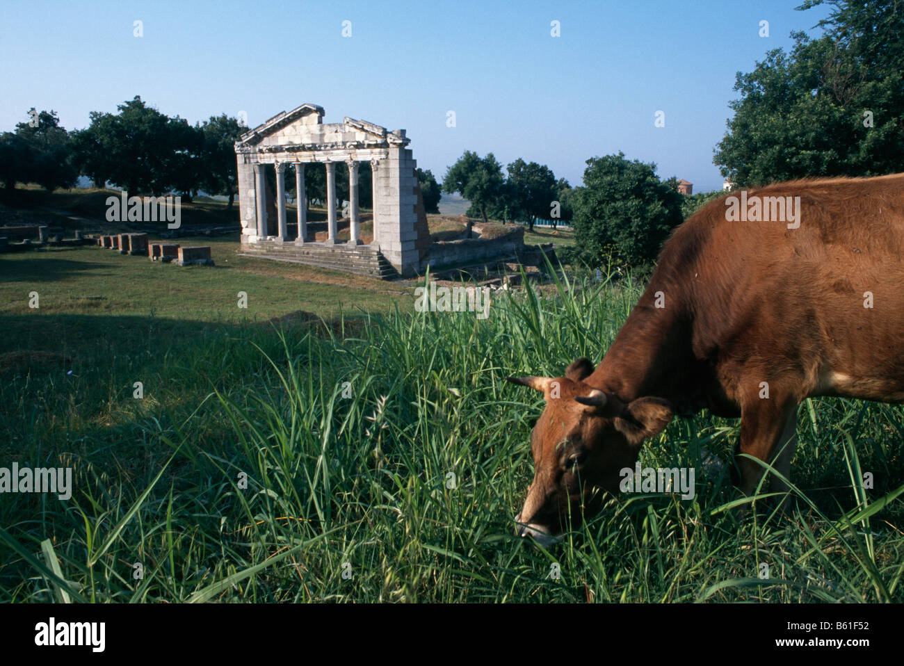 Roman/rovine greche e antichità a Apollonia, Albania 1994 Foto Stock