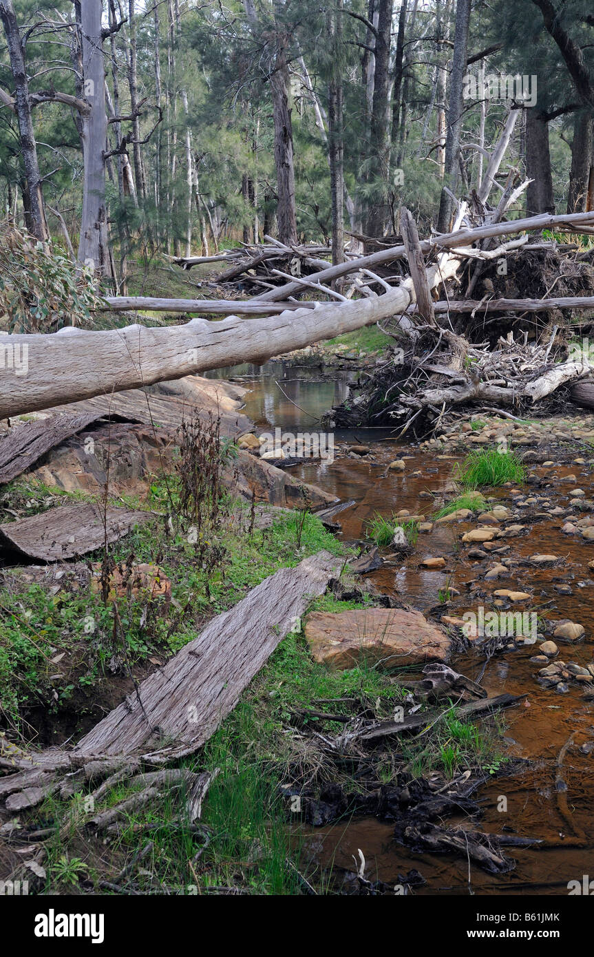 Fiume Wambelong in Warrumbungle National Park, Australia Foto Stock