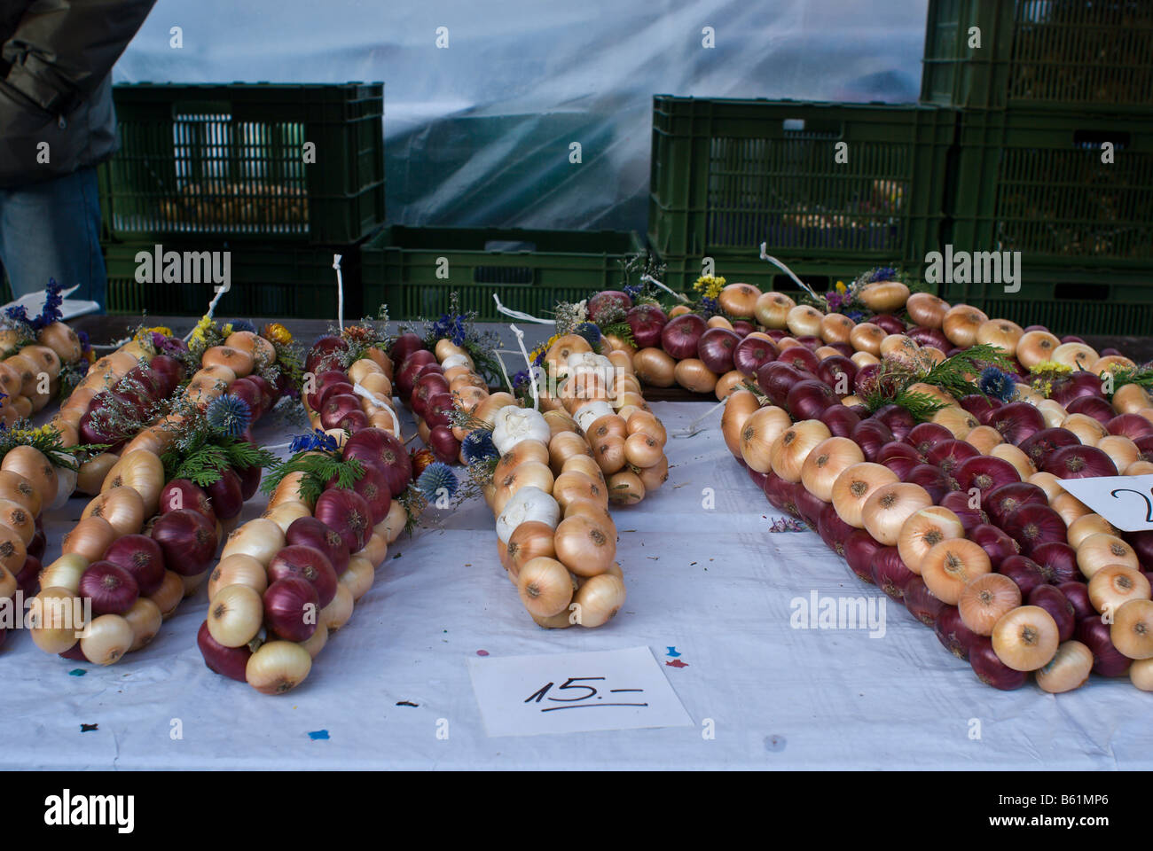 Trefoli intrecciati di cipolle all'annuale Sagra della Cipolla Berna Svizzera Foto Stock