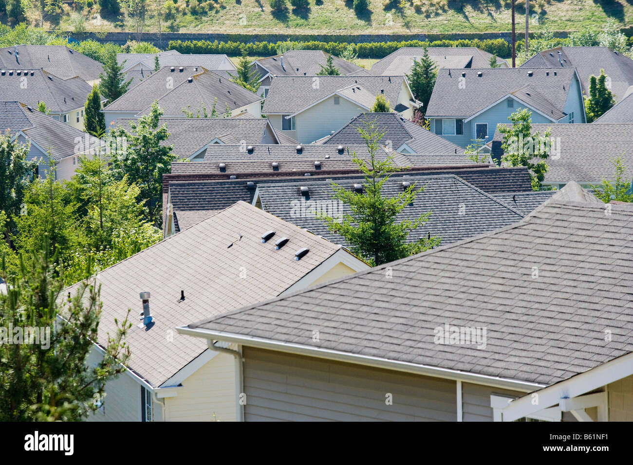 Tetti di un alloggiamento sviluppo nel Issaquah Highlands W ashington negli Stati Uniti Foto Stock