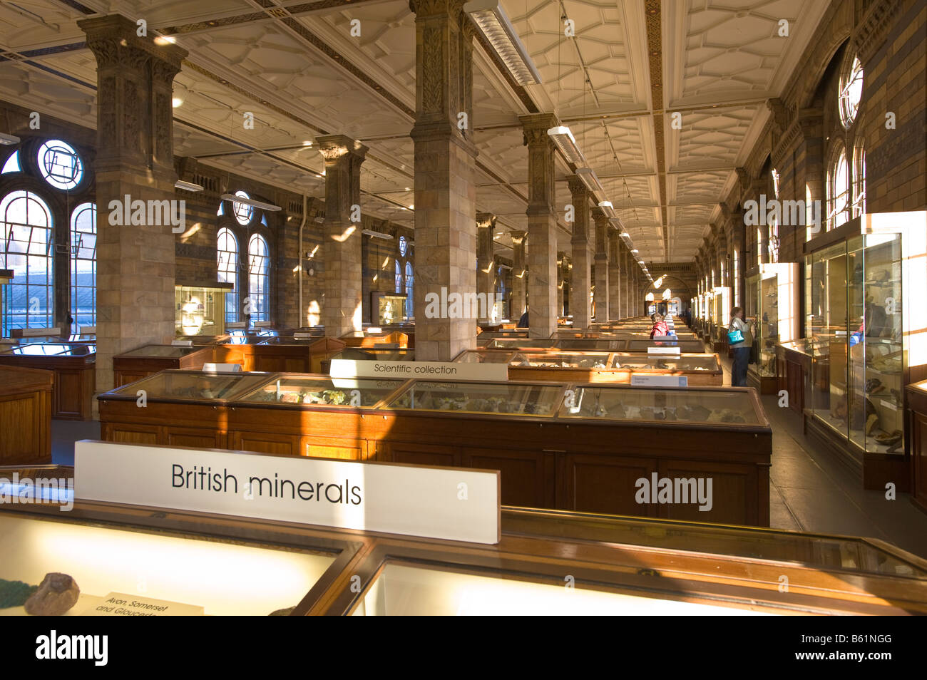 Camera di minerali del Museo di Storia Naturale di Londra Regno Unito Foto Stock