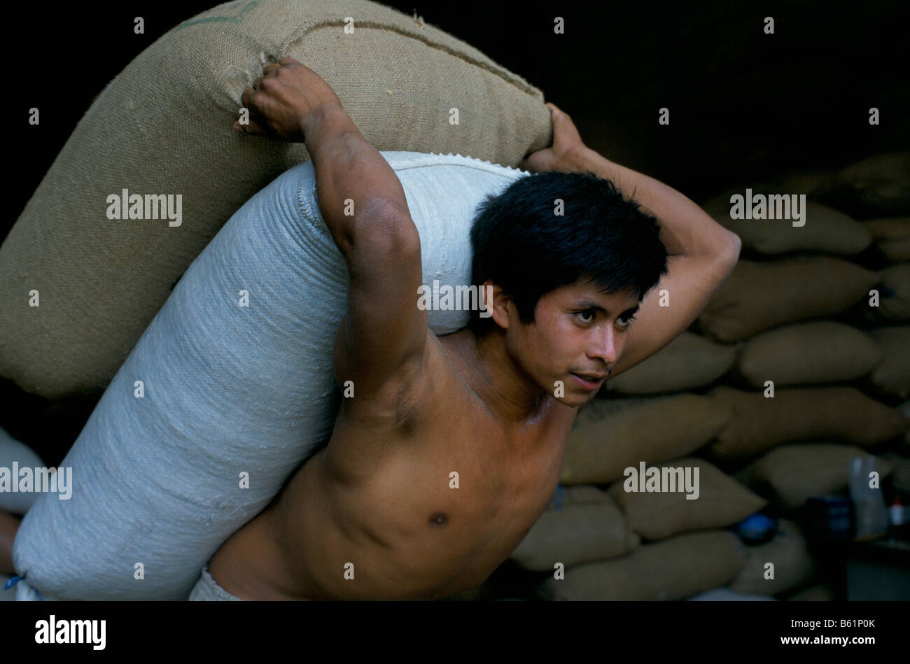 Un uomo che porta due 60 kilo sacchi di caffè verde sulla sua schiena Guatemala Foto Stock