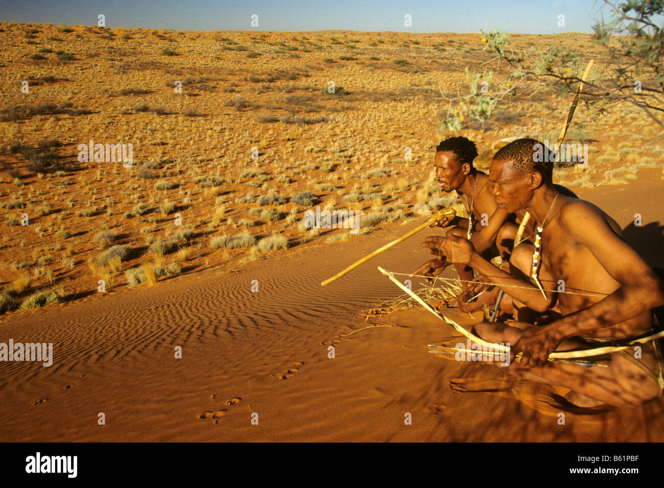Bushman (SAN), gli uomini guardando le tracce degli animali Foto Stock
