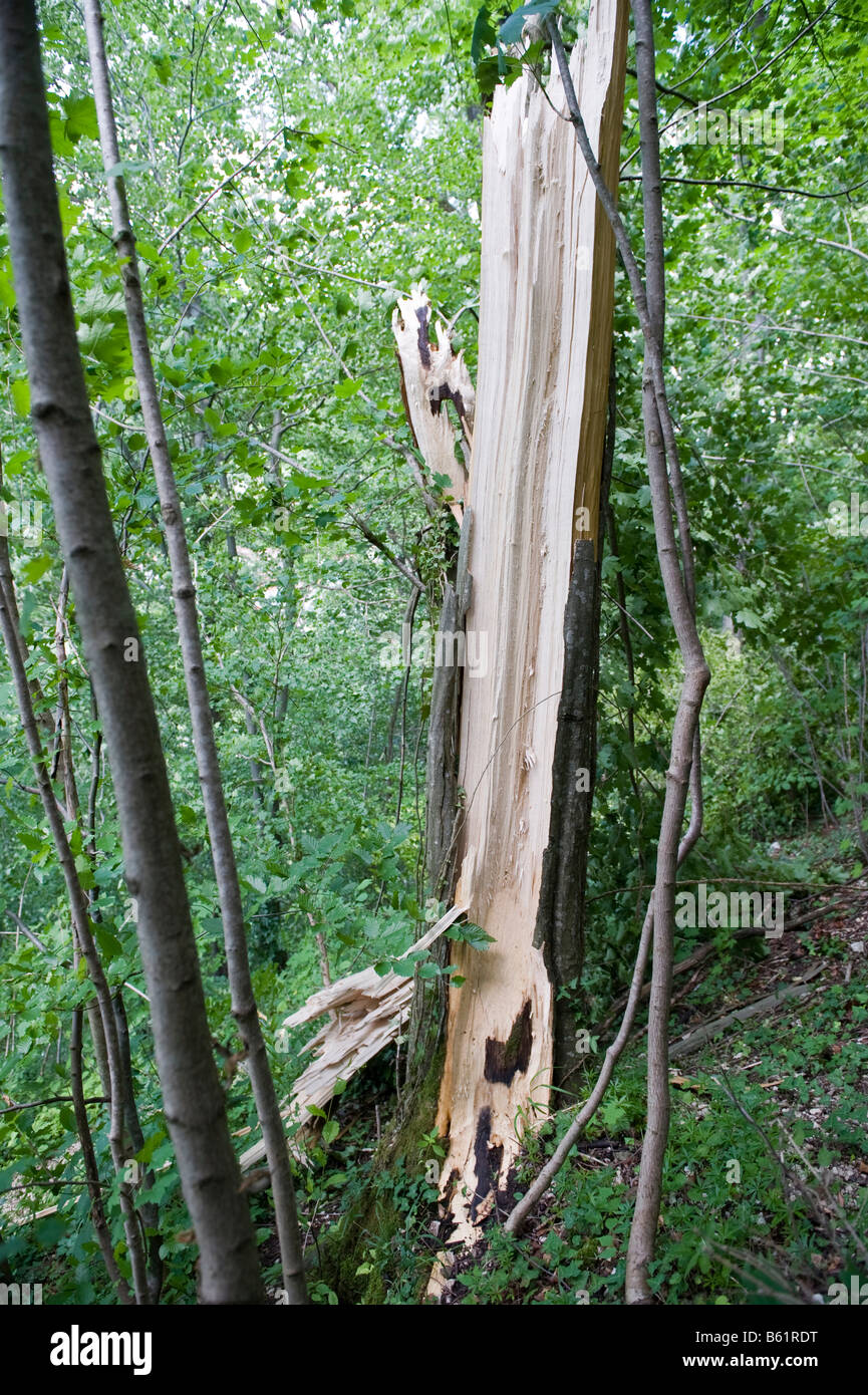 Struttura dopo windsnap Foto Stock