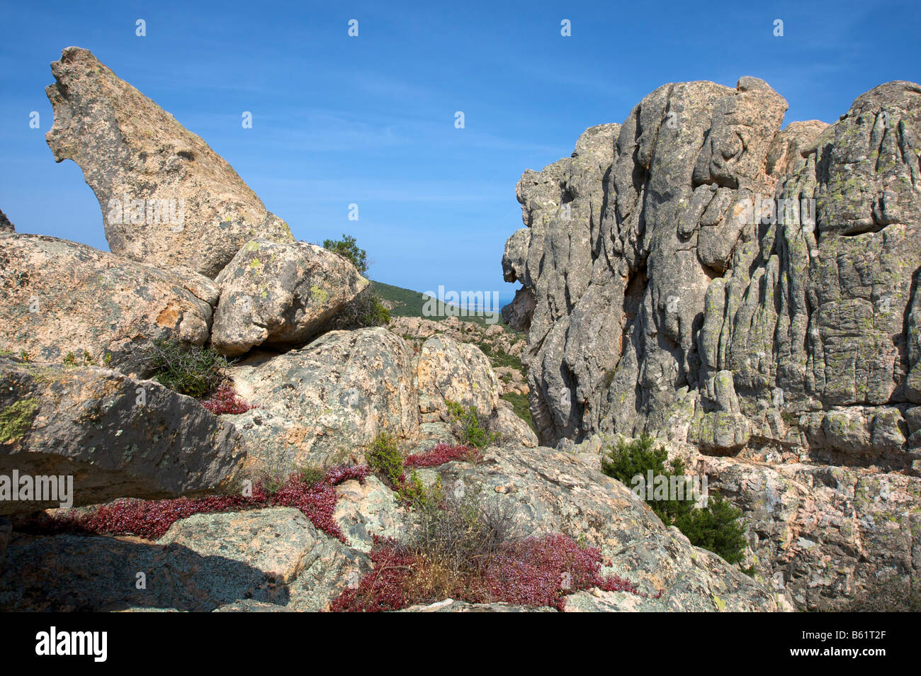 Rocce di granito nei pressi di San Pantaleo, Sardegna, Italia, Europa Foto Stock