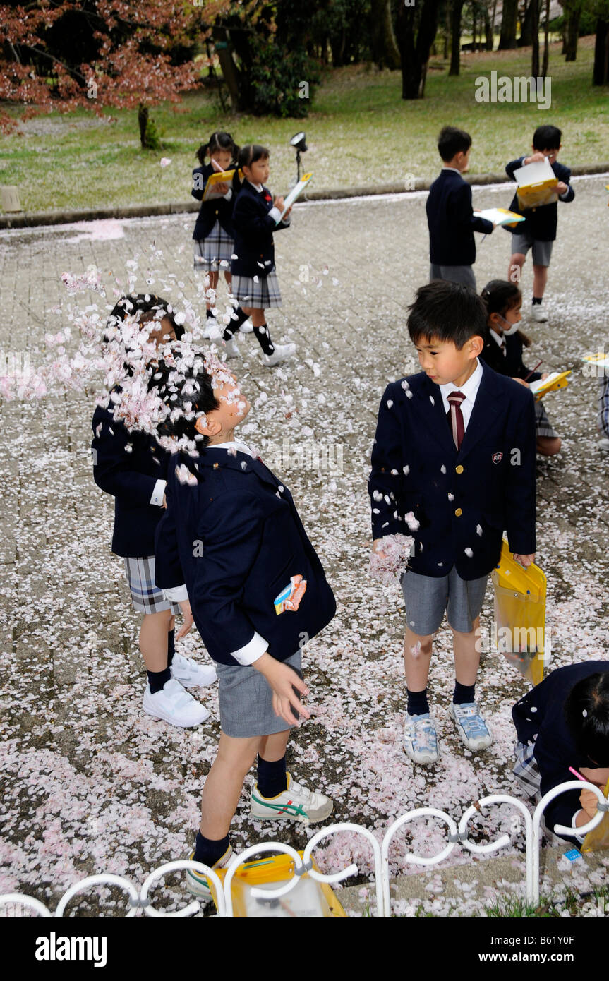 La scuola dei bambini che indossano l'uniforme di un élite di scuola primaria stessi di copertura con la fioritura dei ciliegi durante l apprendimento attivo l Foto Stock