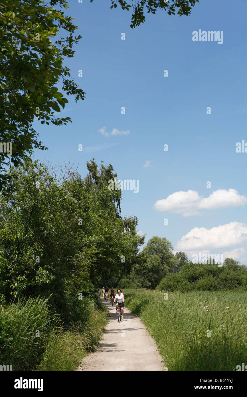 Pista ciclabile e pedonale vicino Prien, Chiemgau, Alta Baviera, Germania, Europa Foto Stock