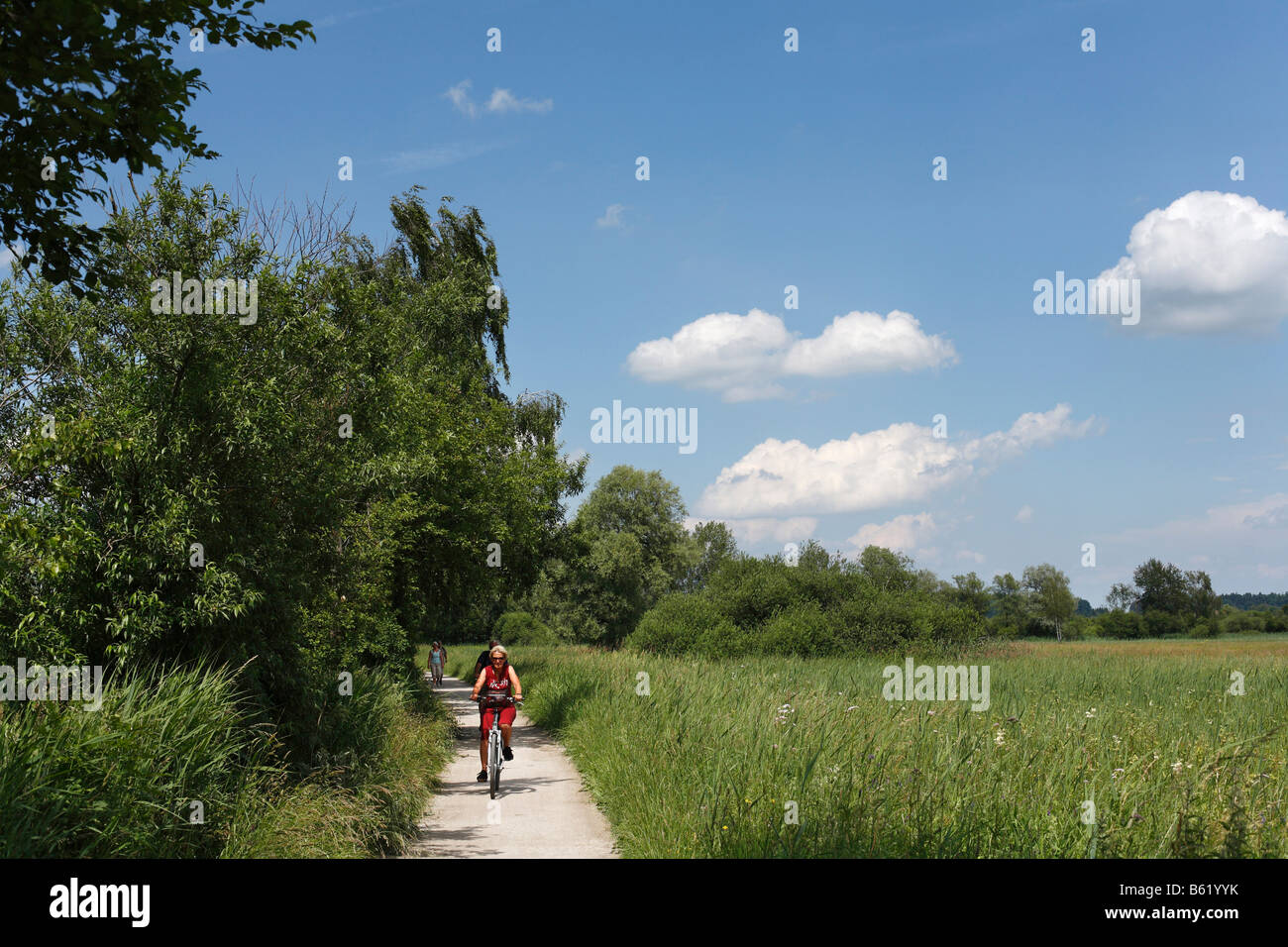 Pista ciclabile e pedonale vicino Prien, Chiemgau, Alta Baviera, Germania, Europa Foto Stock