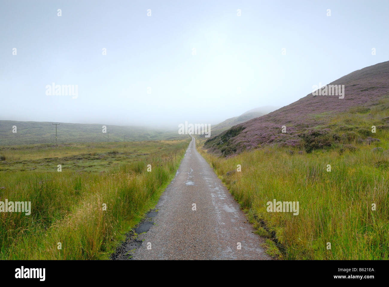 Single track road, su Mull of Kintyre Scozia, Gran Bretagna, Europa Foto Stock