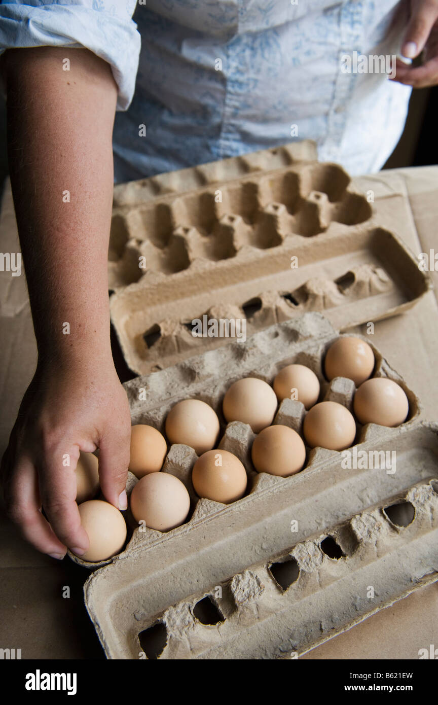 Free Range uova di gallina da un organico di free-range farm in Upstate New York. Foto Stock