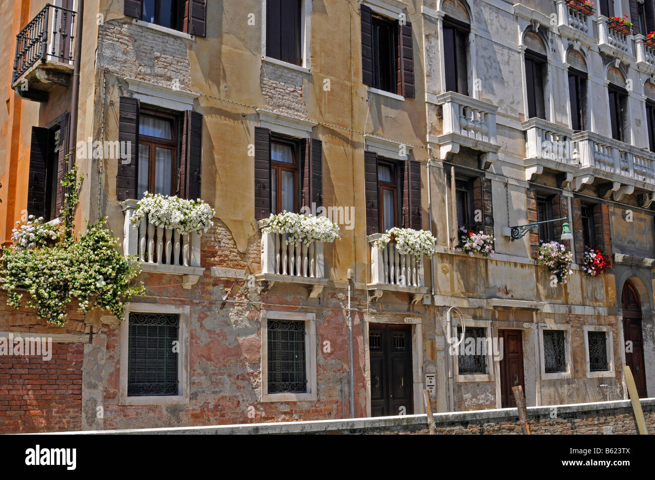 Facciata, Venezia, Italia e Europa Foto Stock