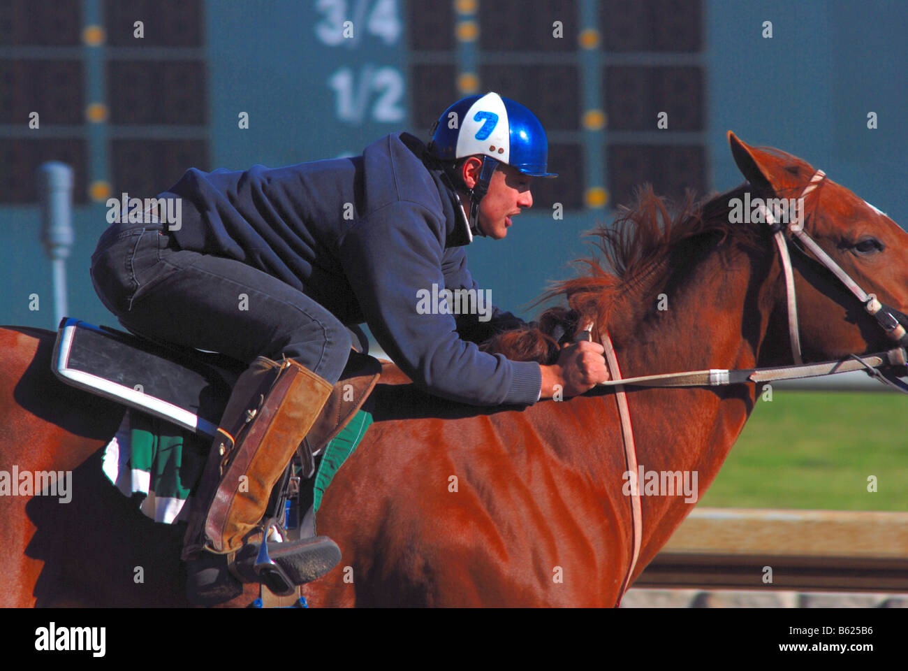 Horse Racing jockey su corse di cavalli su un American Race Track Foto Stock