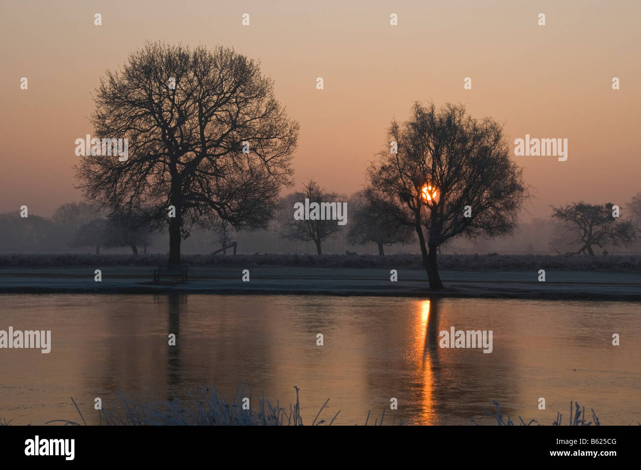 Misty sunrise over congelati Heron Pond Bushy Park London Foto Stock