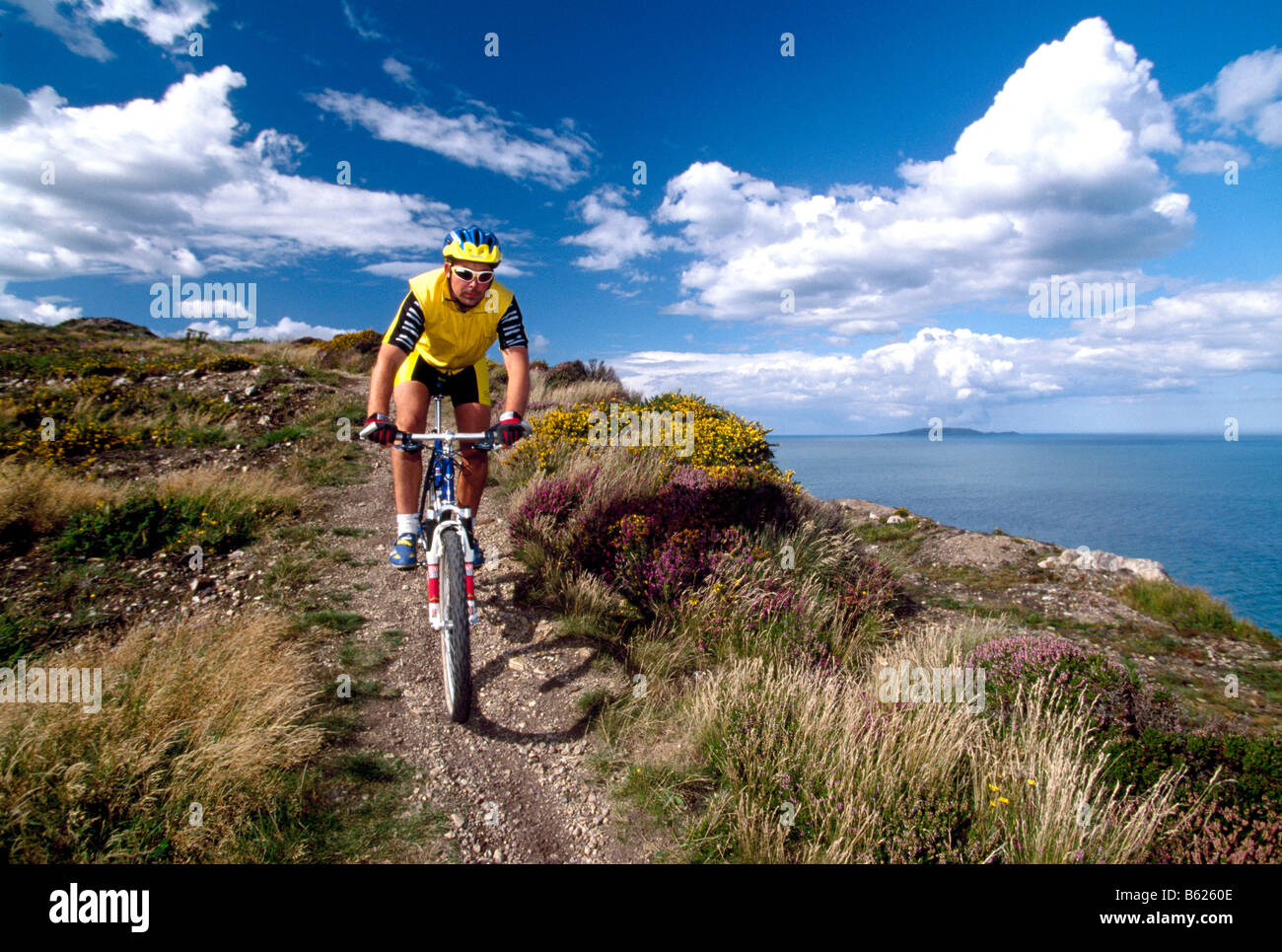 Mountainbiker, Howth, Dublino, Irlanda, Europa Foto Stock