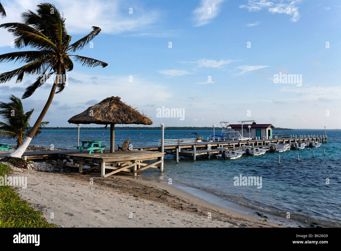Il molo, Turneffe Flats, Turneffe Atoll, Belize, America Centrale e Caraibi Foto Stock