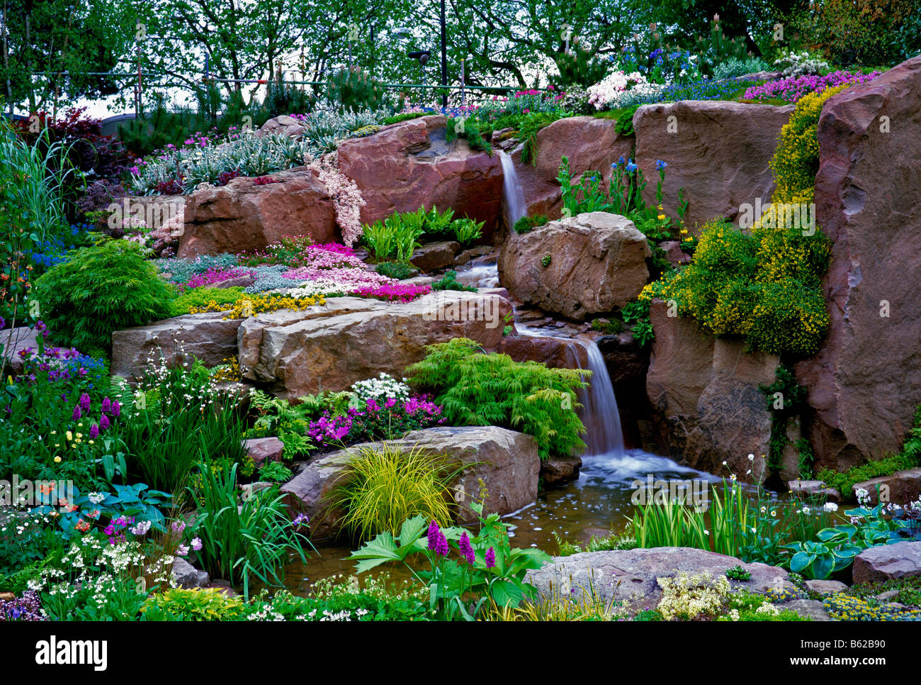 Colorate acqua alpino giardino in estate Foto Stock