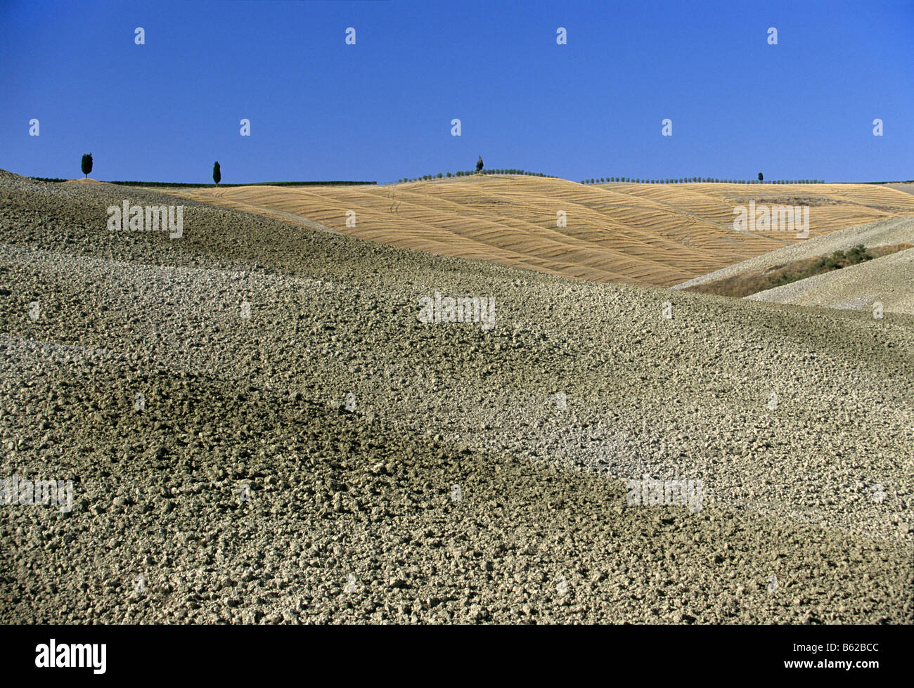 Raccolte di campi di grano, campo arato, paesaggio vicino a Montalcino, provincia di Siena, Toscana, Italia, Europa Foto Stock