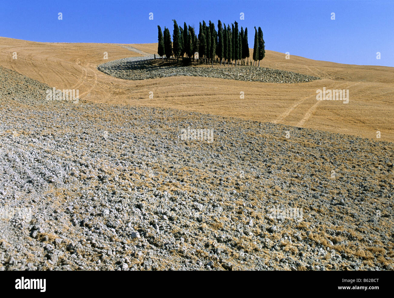 Raccolte di campi di grano, campo arato e cipressi, paesaggio vicino a Montalcino, provincia di Siena, Toscana, Italia, Europa Foto Stock