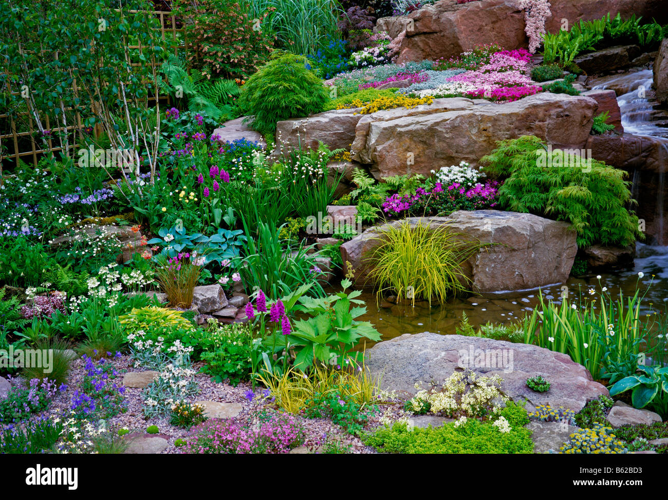 Una colorata fioritura estiva giardino alpino Foto Stock